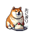 ドット絵 食べる柴犬 食欲旺盛 40種（個別スタンプ：21）