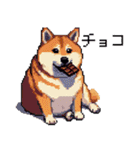 ドット絵 食べる柴犬 食欲旺盛 40種（個別スタンプ：23）