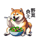 ドット絵 食べる柴犬 食欲旺盛 40種（個別スタンプ：26）