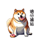 ドット絵 食べる柴犬 食欲旺盛 40種（個別スタンプ：30）