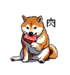 ドット絵 食べる柴犬 食欲旺盛 40種（個別スタンプ：33）