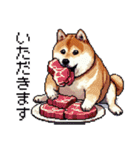 ドット絵 食べる柴犬 食欲旺盛 40種（個別スタンプ：34）