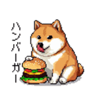 ドット絵 食べる柴犬 食欲旺盛 40種（個別スタンプ：35）