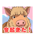 珍しい動物シリーズ マンガリッツァ（個別スタンプ：2）