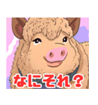 珍しい動物シリーズ マンガリッツァ（個別スタンプ：8）