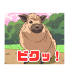 珍しい動物シリーズ マンガリッツァ（個別スタンプ：12）