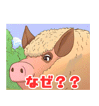 珍しい動物シリーズ マンガリッツァ（個別スタンプ：16）