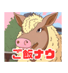 珍しい動物シリーズ マンガリッツァ（個別スタンプ：18）