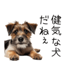 使いどころめっちゃ迷う犬返信。（個別スタンプ：2）