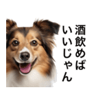 使いどころめっちゃ迷う犬返信。（個別スタンプ：6）