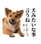 使いどころめっちゃ迷う犬返信。（個別スタンプ：7）