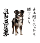 使いどころめっちゃ迷う犬返信。（個別スタンプ：9）