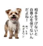 使いどころめっちゃ迷う犬返信。（個別スタンプ：11）