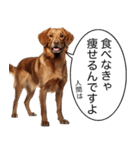 使いどころめっちゃ迷う犬返信。（個別スタンプ：15）