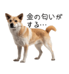 使いどころめっちゃ迷う犬返信。（個別スタンプ：16）