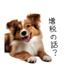 使いどころめっちゃ迷う犬返信。（個別スタンプ：19）