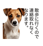 使いどころめっちゃ迷う犬返信。（個別スタンプ：22）