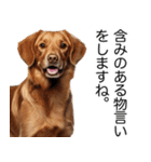 使いどころめっちゃ迷う犬返信。（個別スタンプ：23）