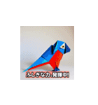 インコのハッピー・モーメント（個別スタンプ：10）