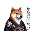 ドット絵 柴犬 侍 サムライしばいぬ（個別スタンプ：3）