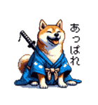 ドット絵 柴犬 侍 サムライしばいぬ（個別スタンプ：6）