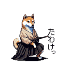 ドット絵 柴犬 侍 サムライしばいぬ（個別スタンプ：7）