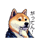 ドット絵 柴犬 侍 サムライしばいぬ（個別スタンプ：8）