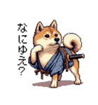 ドット絵 柴犬 侍 サムライしばいぬ（個別スタンプ：9）