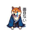 ドット絵 柴犬 侍 サムライしばいぬ（個別スタンプ：11）