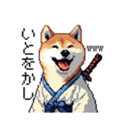 ドット絵 柴犬 侍 サムライしばいぬ（個別スタンプ：12）