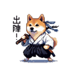 ドット絵 柴犬 侍 サムライしばいぬ（個別スタンプ：13）