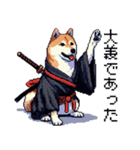 ドット絵 柴犬 侍 サムライしばいぬ（個別スタンプ：17）