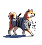 ドット絵 柴犬 侍 サムライしばいぬ（個別スタンプ：25）