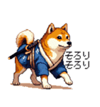 ドット絵 柴犬 侍 サムライしばいぬ（個別スタンプ：28）