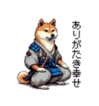 ドット絵 柴犬 侍 サムライしばいぬ（個別スタンプ：30）