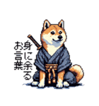 ドット絵 柴犬 侍 サムライしばいぬ（個別スタンプ：31）