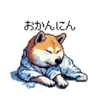 ドット絵 柴犬 侍 サムライしばいぬ（個別スタンプ：38）