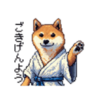 ドット絵 柴犬 侍 サムライしばいぬ（個別スタンプ：40）