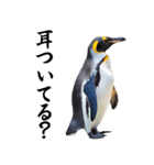 りあるシリーズ2#ペンギン【毒舌煽りMAX】（個別スタンプ：4）
