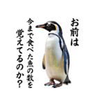りあるシリーズ2#ペンギン【毒舌煽りMAX】（個別スタンプ：10）