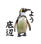 りあるシリーズ2#ペンギン【毒舌煽りMAX】（個別スタンプ：12）