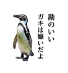 りあるシリーズ2#ペンギン【毒舌煽りMAX】（個別スタンプ：16）