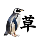 りあるシリーズ2#ペンギン【毒舌煽りMAX】（個別スタンプ：19）