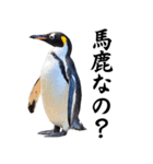 りあるシリーズ2#ペンギン【毒舌煽りMAX】（個別スタンプ：21）