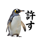 りあるシリーズ2#ペンギン【毒舌煽りMAX】（個別スタンプ：23）