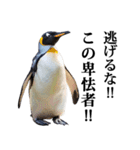 りあるシリーズ2#ペンギン【毒舌煽りMAX】（個別スタンプ：29）