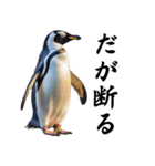 りあるシリーズ2#ペンギン【毒舌煽りMAX】（個別スタンプ：30）