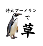 りあるシリーズ2#ペンギン【毒舌煽りMAX】（個別スタンプ：32）