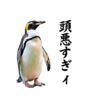 りあるシリーズ2#ペンギン【毒舌煽りMAX】（個別スタンプ：38）