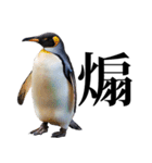 りあるシリーズ2#ペンギン【毒舌煽りMAX】（個別スタンプ：40）